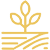 Home 7 Icon Innovation