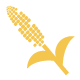 sorgho