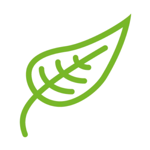 picto bio vert 300x300 1