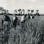 Über RAGT 7 HistoryOfRagtCompany 1954