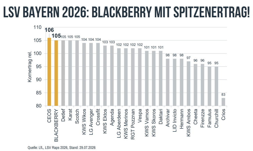 Blackberry LSV Bayern