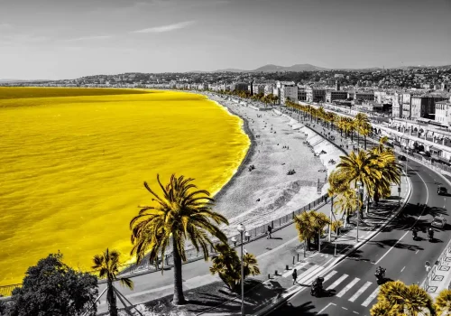NIZZA-CL-2