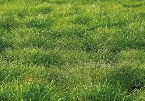 rgt-todo-terreno