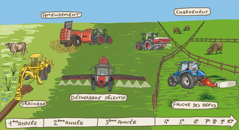 Amelioration Conduite Prairie