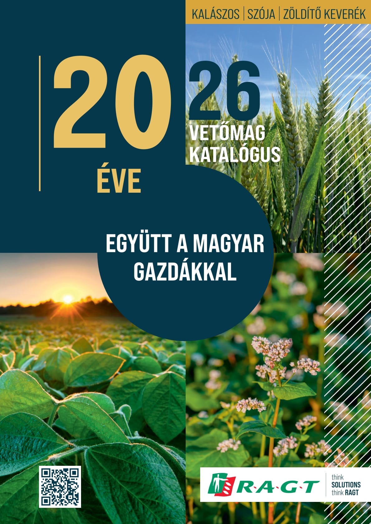 Kalászos borító