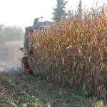 RGT DRAGSTER