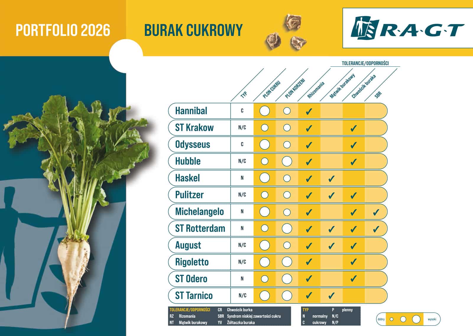 Burak cukrowy RAGT - poznaj odmiany buraka cukrowego RAGT