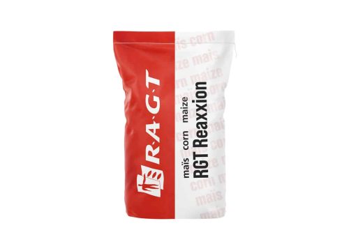 RGT Reaxxion kukurydza RAGT