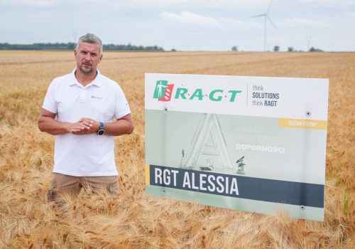 RGT Alessia jęczmień ozimy RAGT nasiona do siewu
