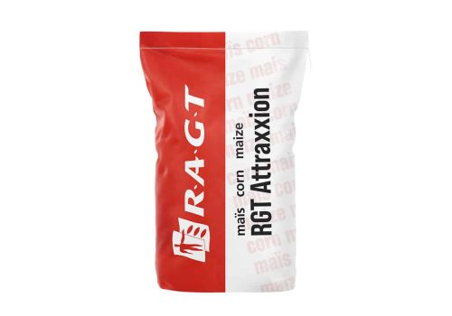 RGT Attraxxion kukurydza RAGT