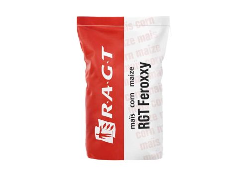RGT Feroxxy kukurydza RAGT