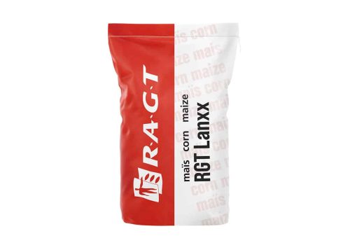 RGT Lanxx kukurydza RAGT
