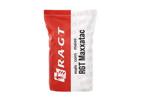 RGT Maxxatac kukurydza RAGT