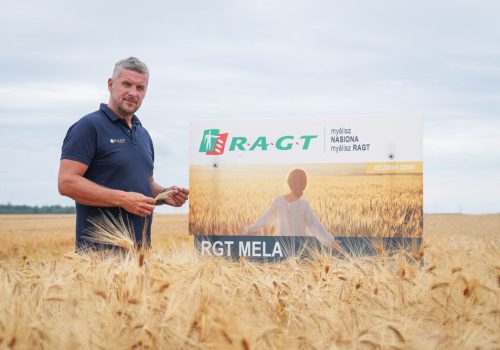 RGT Mela jeczmien ozimy RAGT nasiona do siewu