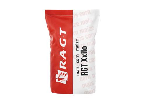 RGT Xxilo kukurydza RAGT