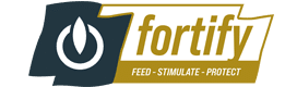 kukurydza w zaprawie forify