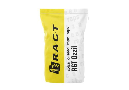 Rzepak RGT Ozzil nasiona do siewu