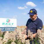 RGT Icebergg