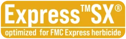 logo_ragt_solution_express_sx