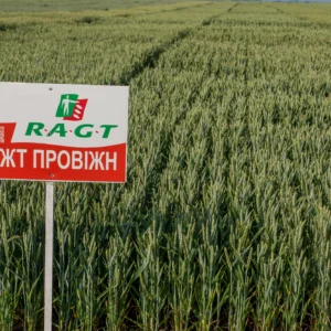 РЖТ ПРОВІЖН