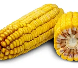 РЖТ ДУБЛІККС
