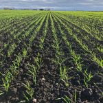 Skyfall