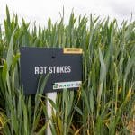RGT Stokes 2 RGT Stokes