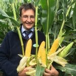 Green Farm Seeds Agiraxx