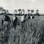 Company 8 HistoryOfRagtCompany 1954