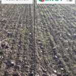 RGT Nouga emerging faster than competitor