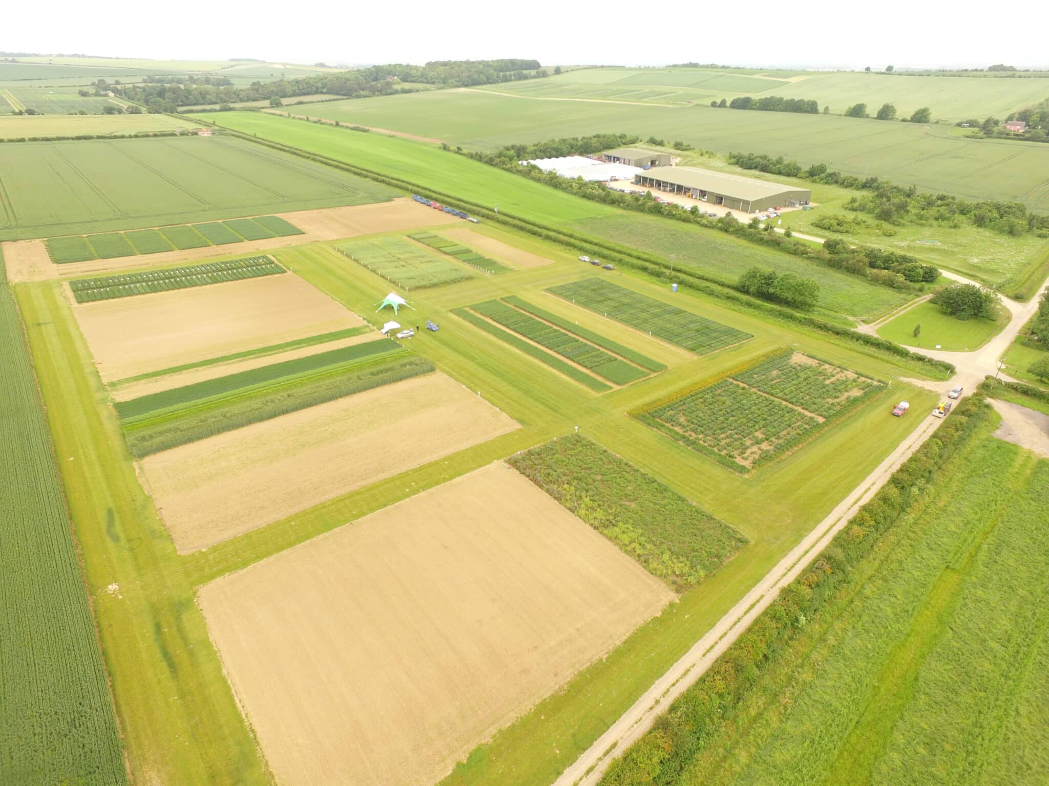 RAGT demo field birds eye view