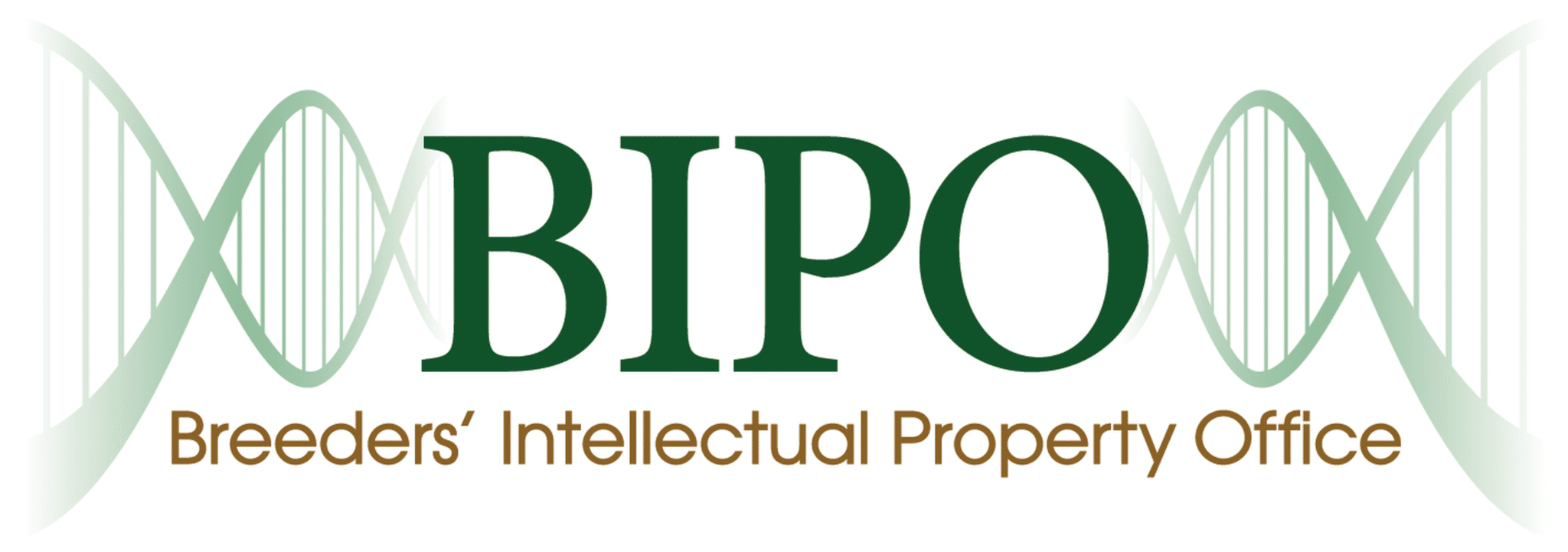 BIPO high res scaled
