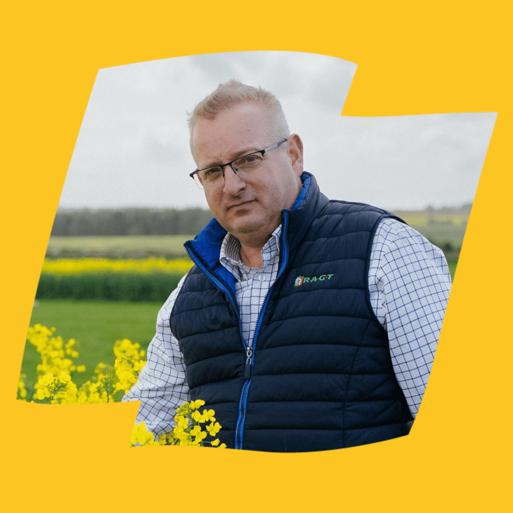 Andrew Logo Yellow