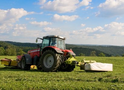Cutting grass