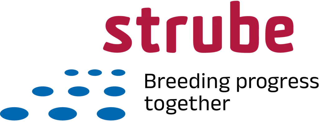 Logo of Strube company with claim Breeding progress together