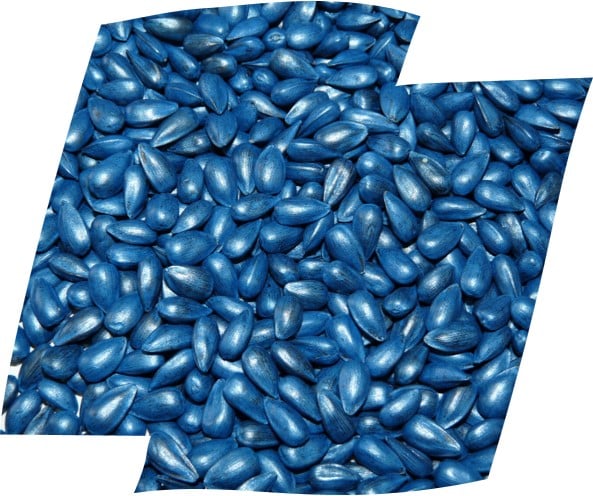 Blue sunflower seeds